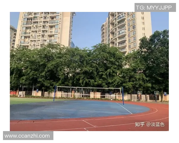 深圳排球队耐力对比深度解析与训练策略探讨