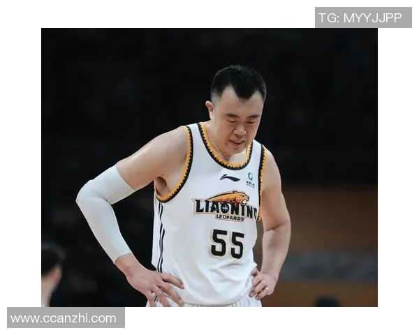 韩德君的篮球生涯回顾与未来展望：从青涩少年到CBA传奇巨星的成长之路